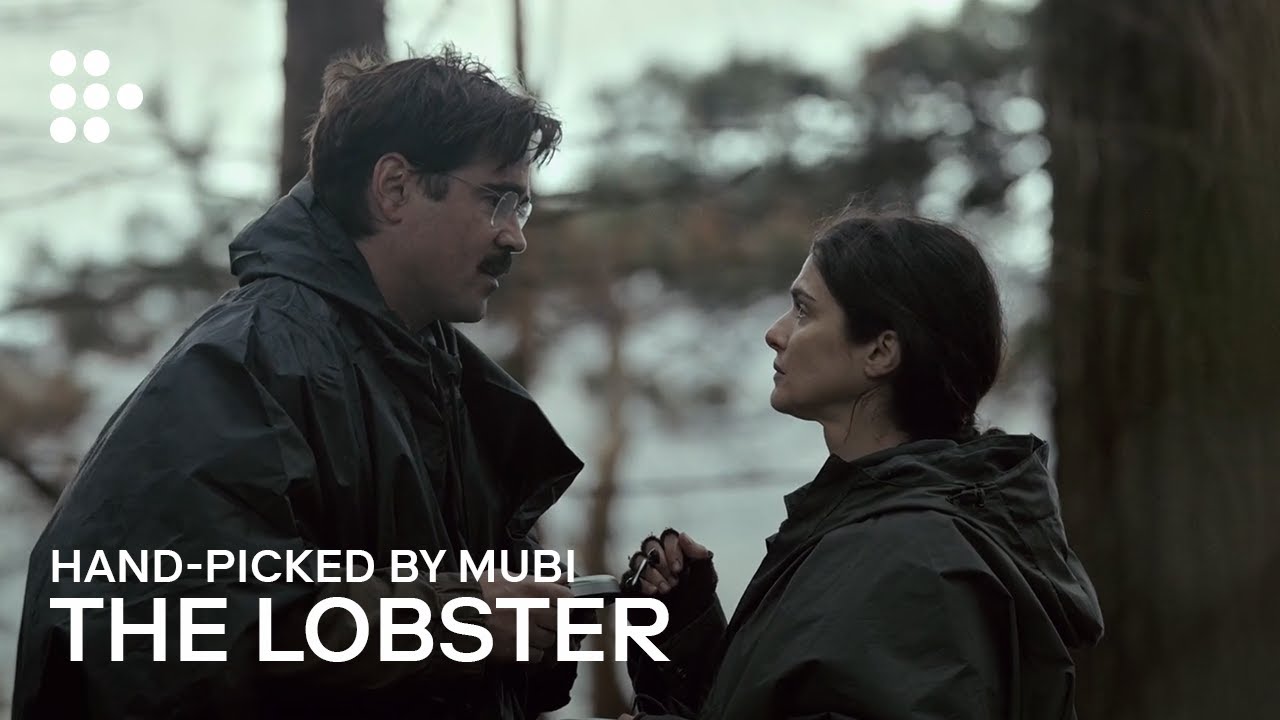 THE LOBSTER | Hand-picked by MUBI