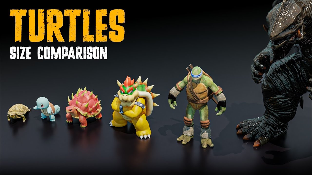 Turtle Size Comparison – Real, Extinct & Fictional