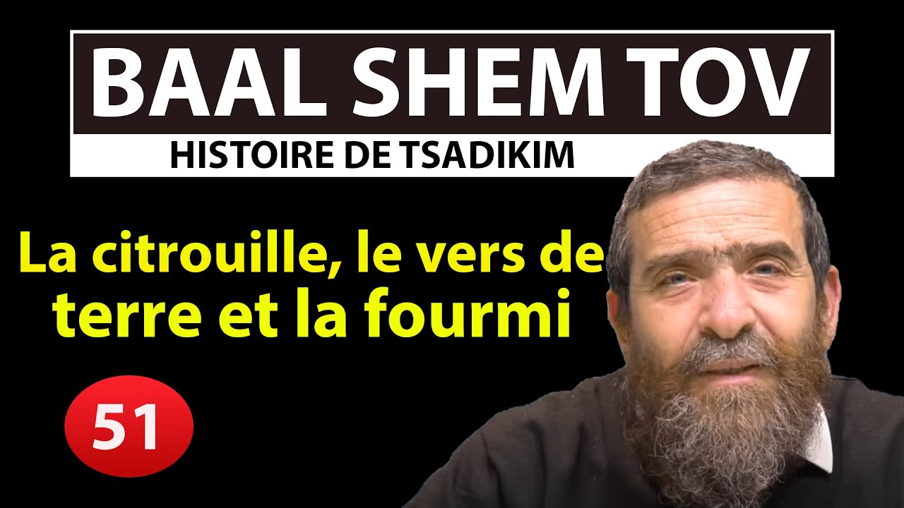 HISTOIRE DE TSADIKIM 51 - BAAL SHEM TOV -La citrouille le vers de terre et la fourmi - Avi Assouline
