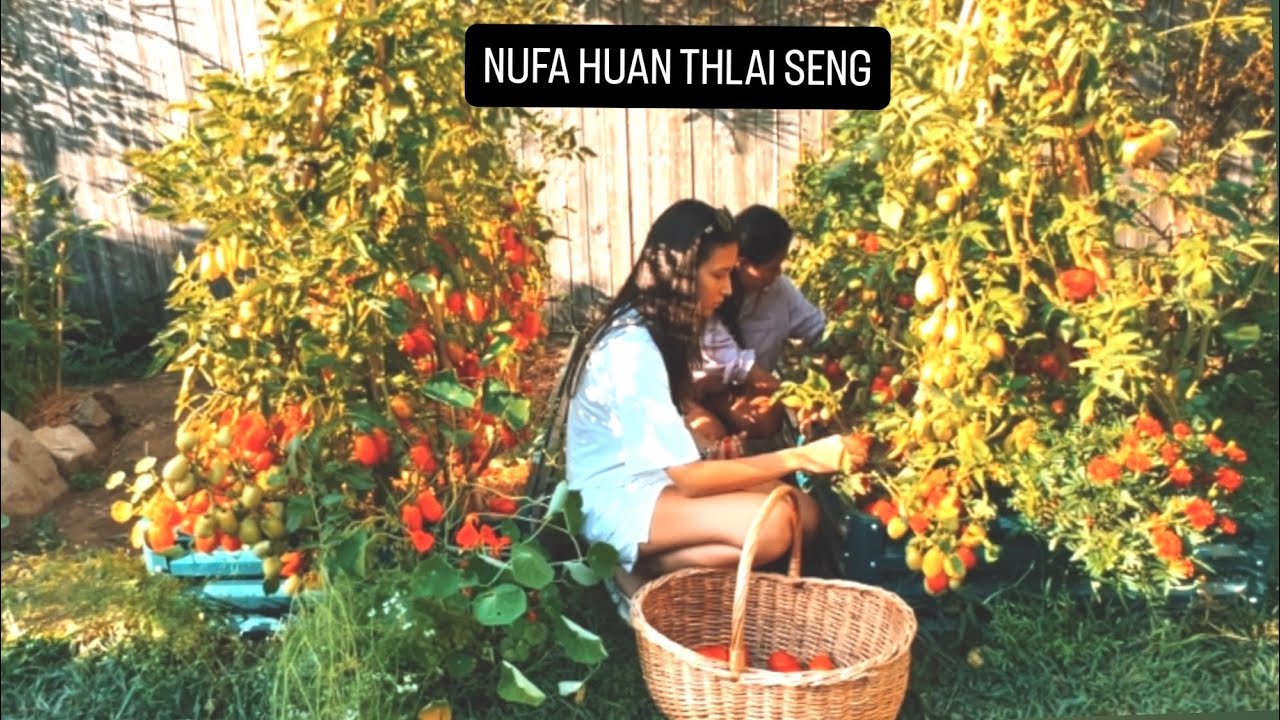 ZOPARI HLAWH LA,  BAZAR ZO IN TOMATO MIN SENG PUI