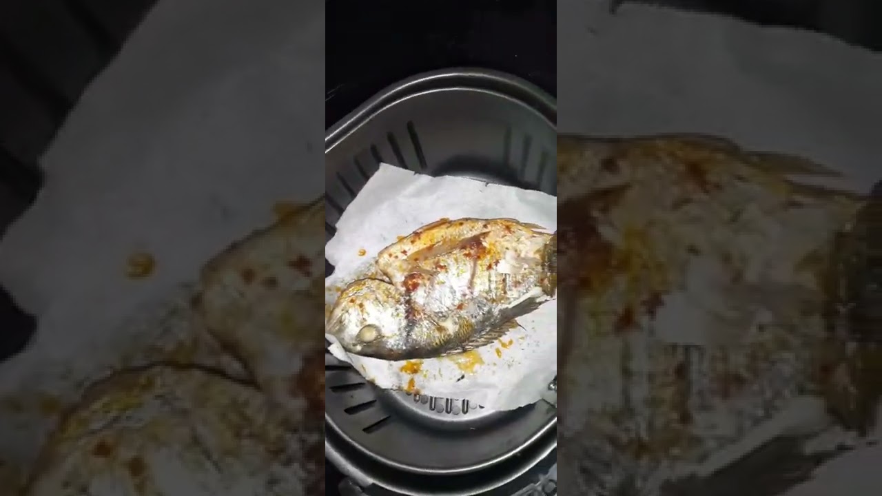 Schafer sıcak hava frit&ouml;z&uuml;nde balık🐟 pişirdim