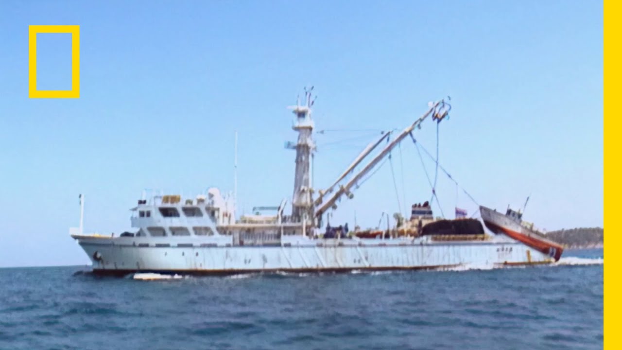 Statek badający tuńczyki musiał zabrać ofiary tsunami z wyspy! | Tsunami: Wyścig z czasem