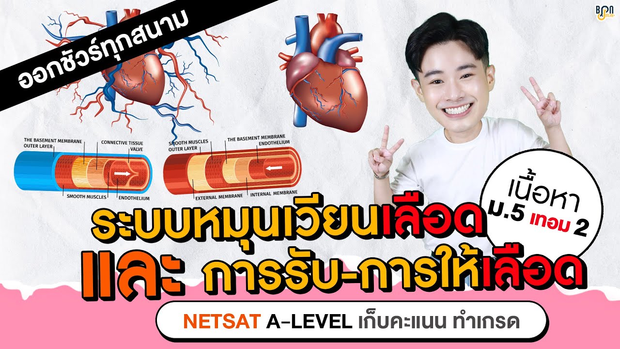 [ติวสอบ ชีววิทยา ALevel] ระบบลำเลียงเลือด และ การรับ-ให้เลือด ม.5 เทอม 2 พร้อมข้อสอบจริง
