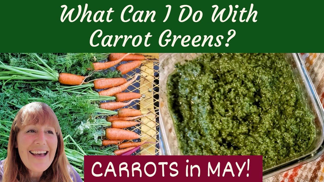What Can I Do with CARROT GREENS? Carrots in MAY!