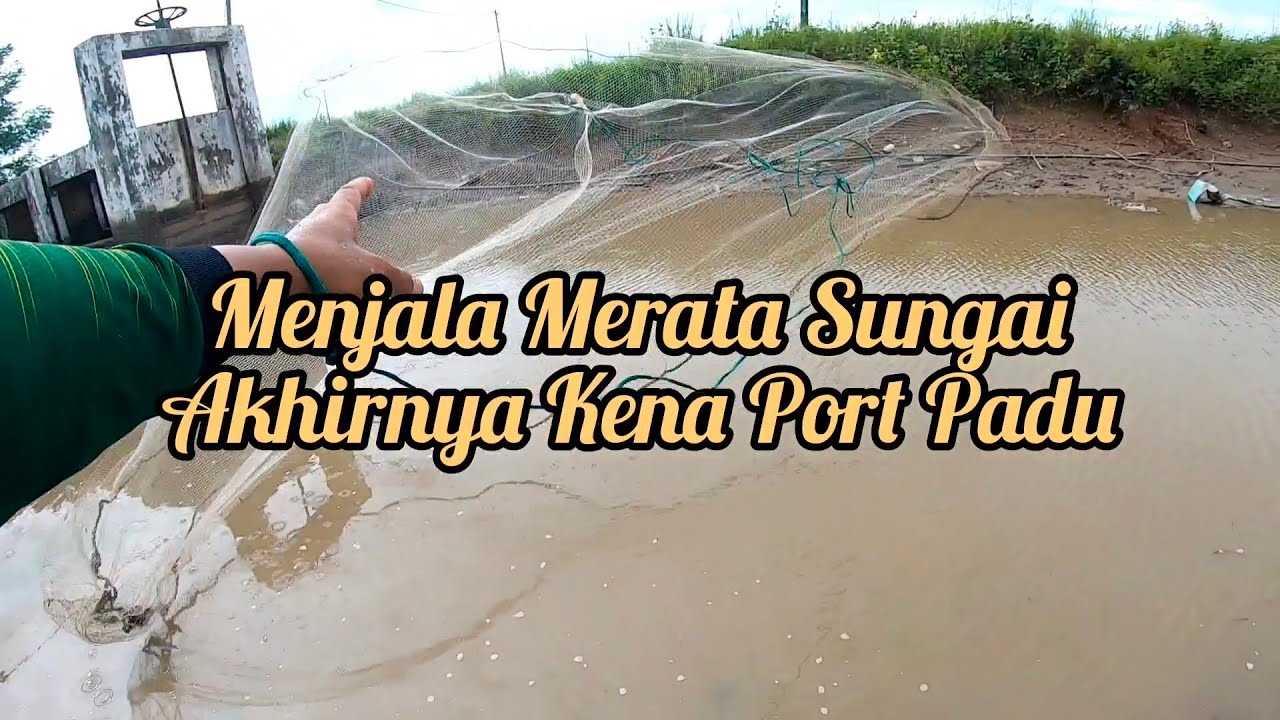 Menjala Merata Sungai Akhirnya Penuh Jala & Parit Kecik Ikan Besar Macam&sup2; Kejadian s425