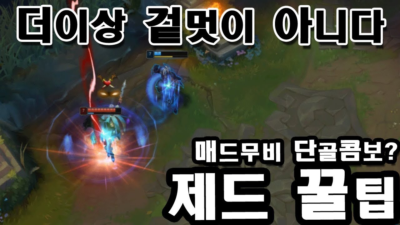 [롤] 천상계 제드장인들의 실전 제드 꿀팁 feat.비디디,스타일리쉬 【 Secret Zed Tips 】