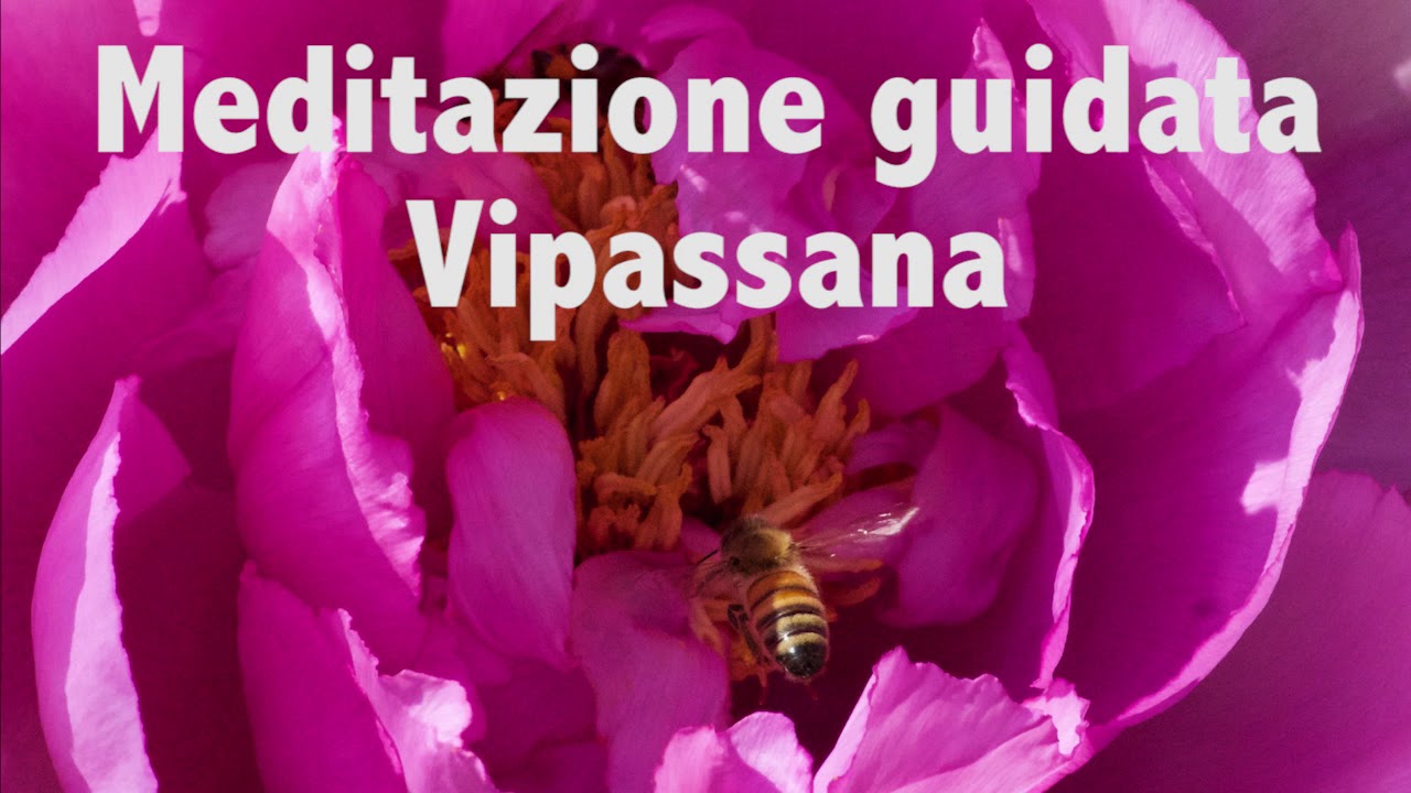 Meditazione Vipassana guidata ITA. Bonomelli