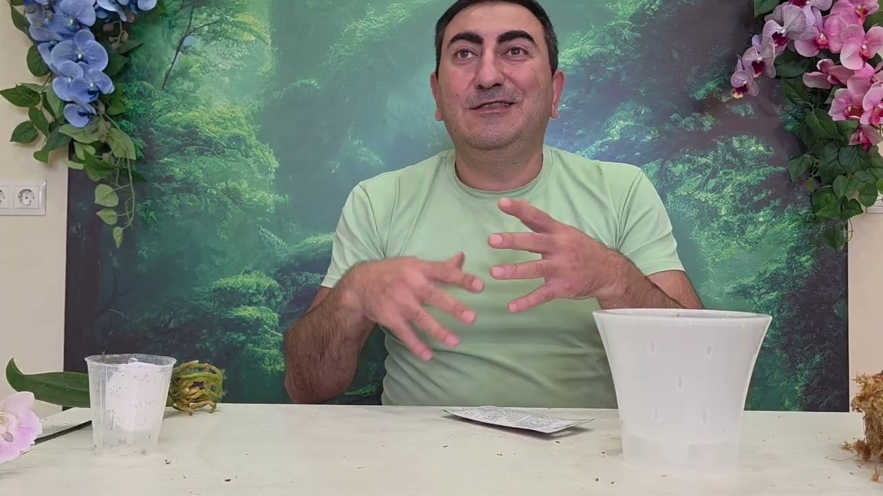 Стоит ли возится с уценочной орхидеей?