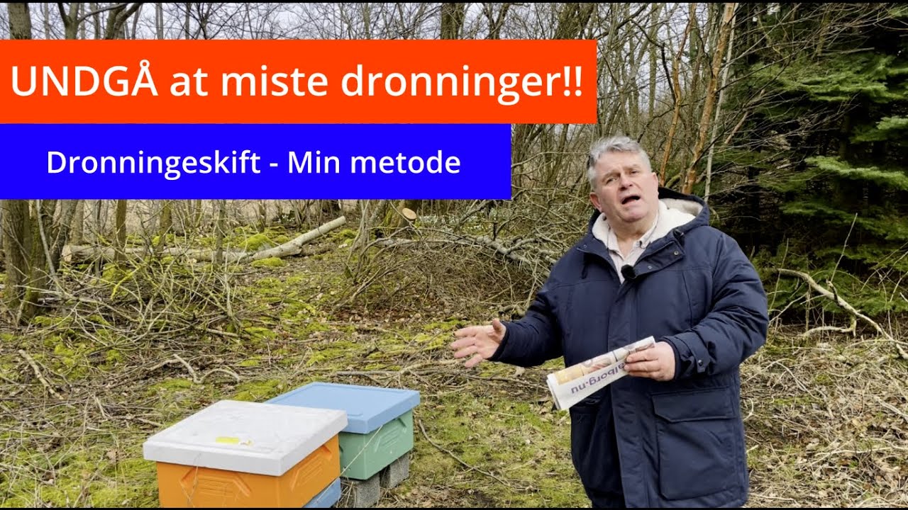 Biavl: Jeg har aldrig mistet en dronning med denne metode - Dronningeskift