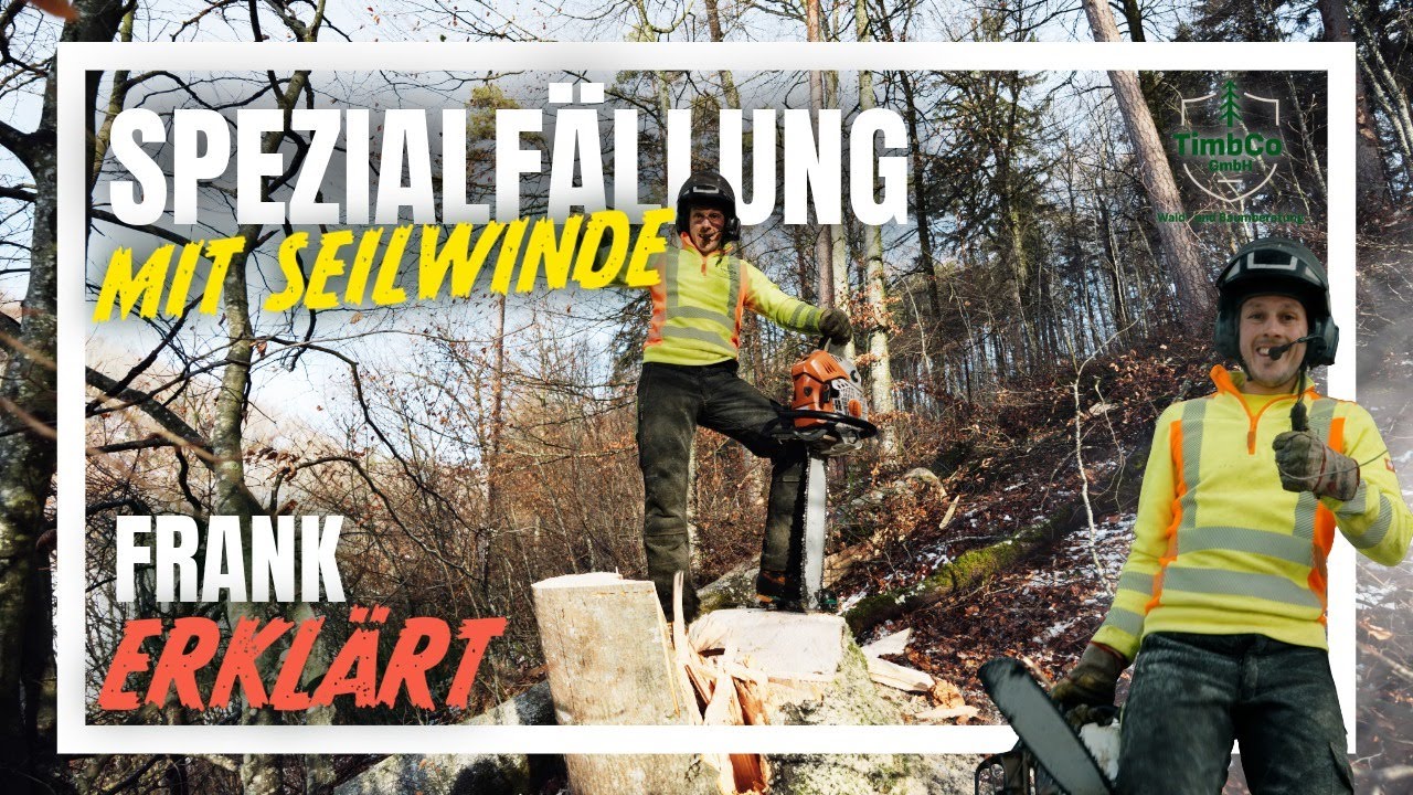 Spezialbaumfällung an Landstraße 🚧 | Präzision mit Seilwinde & Baumkletterer | TimbCo GmbH