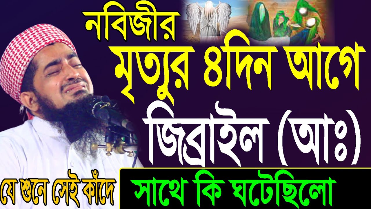 নবিজীর মৃত্যুর ৪দিন আগে জিব্রাইল (আঃ) সাথে কি ঘটেছিলো? Mufti Eliasur Rahman Zihadi।ইলিয়াছুর রহমান
