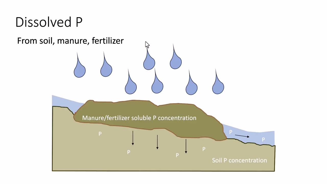 Wisconsin Phosphorus Index