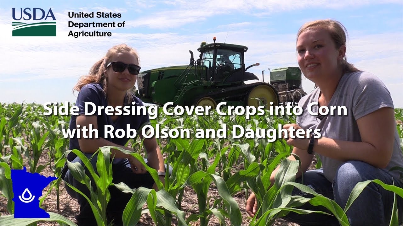 Interseeding Cover Crops into Corn with Producer Rob Olson and Daughters