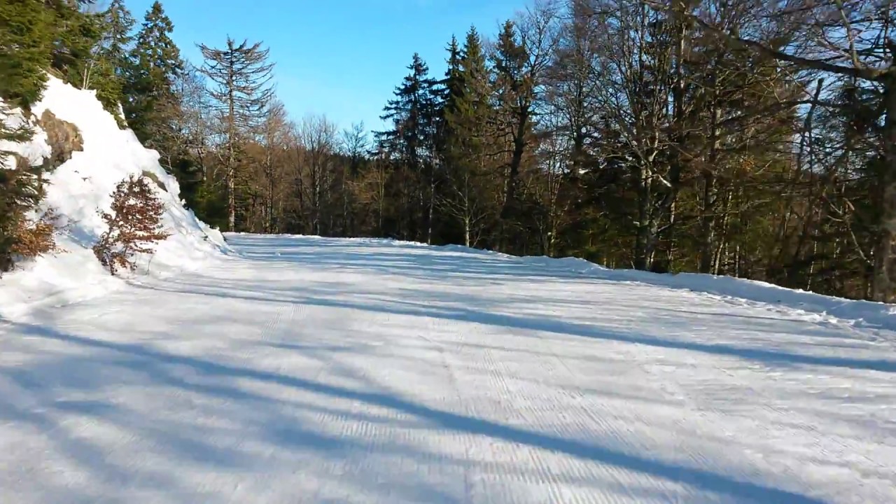 Belchen Schwarzwald - Skiabfahrt für Anfänger und Rodler - Top Panorama