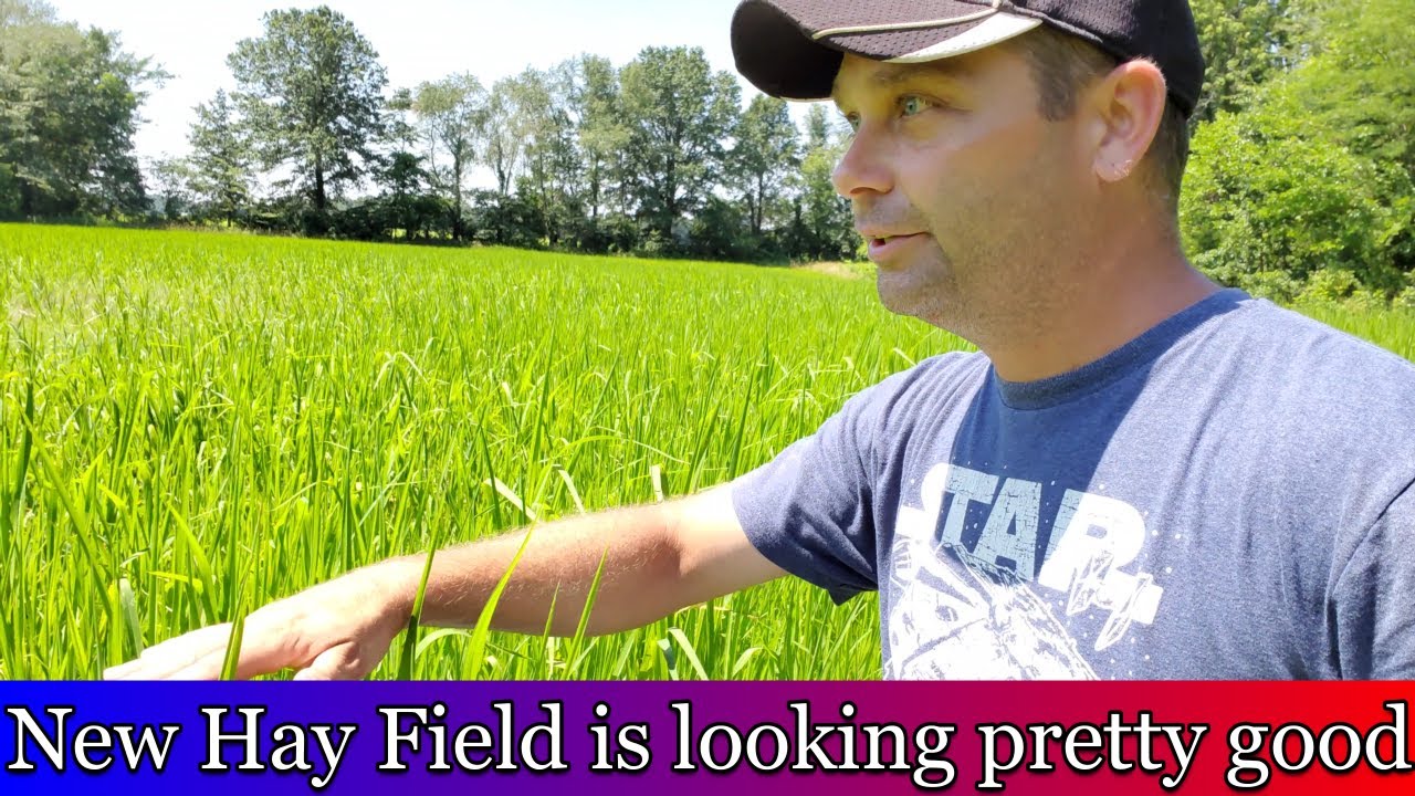 Time to do more work on our new hay field