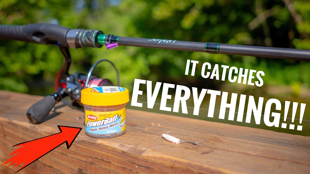 FISHING CHALLENGE with ONE BAIT!!!