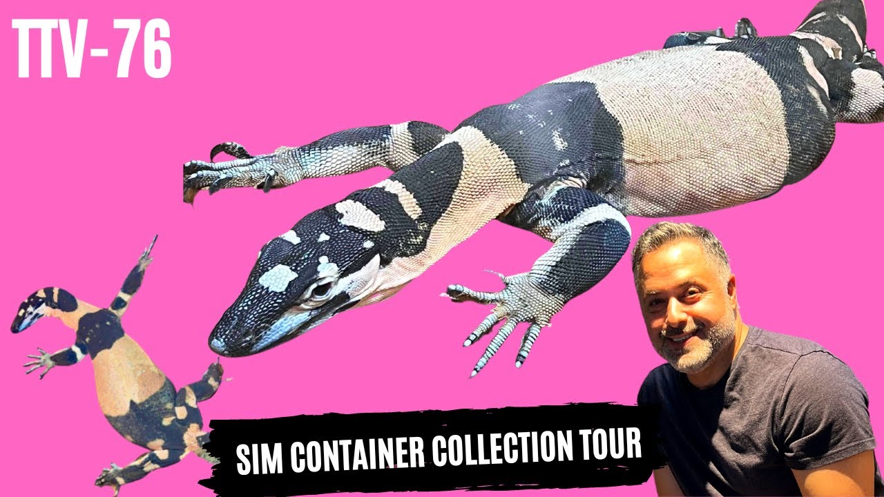 Insane Monitor collection tour | Bells Phase Lace Monitors | Dwarf Monitors | The Trap Vlog 76
