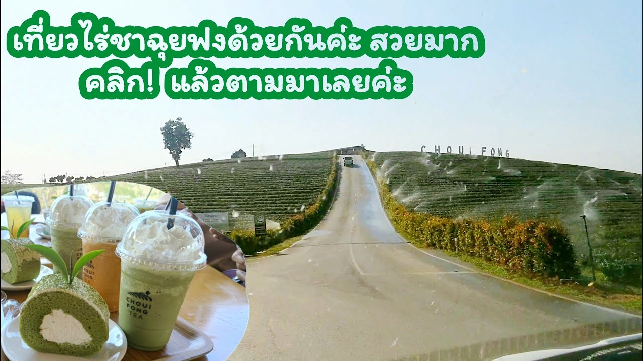 พาเที่ยวไร่ชาฉุยฟง สวยมาก! ชมวิวไร่สับปะรดสองข้างทาง ชิมเค้กชาเขียว น้ำชาเขียว ชาไทย อร่อยสดชื่นๆค่ะ