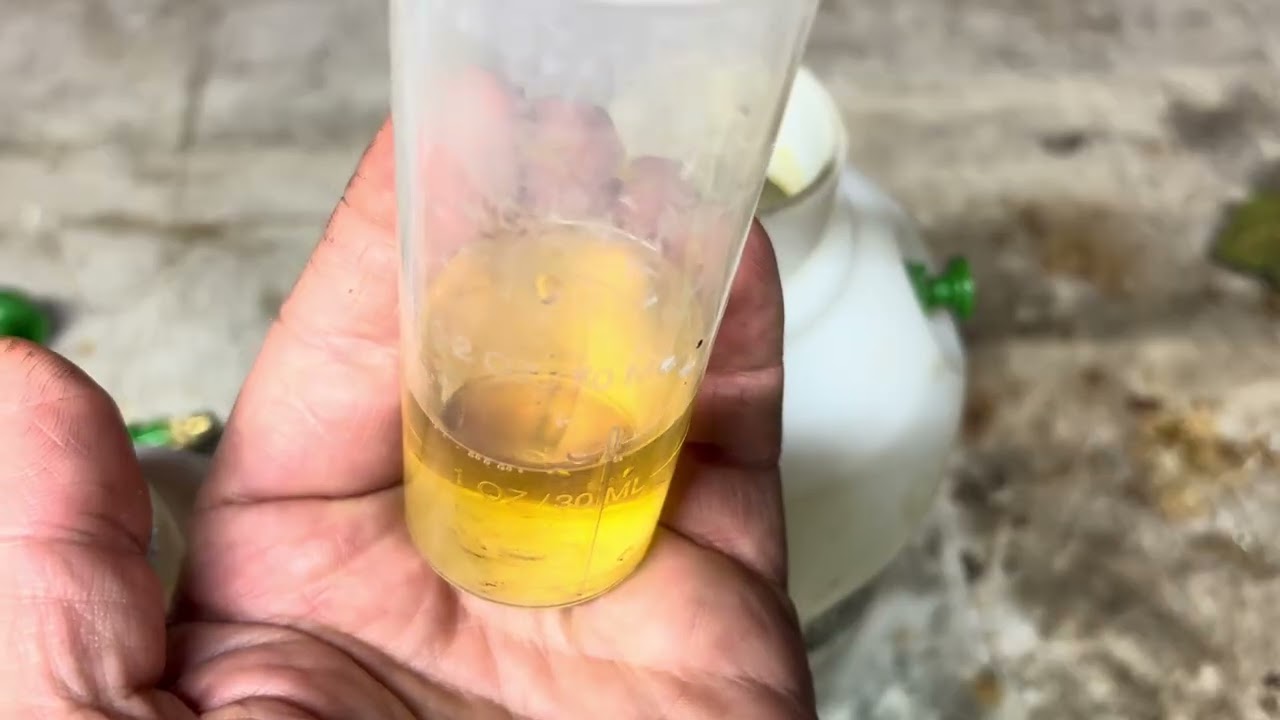 This is war! Spider mite solutions