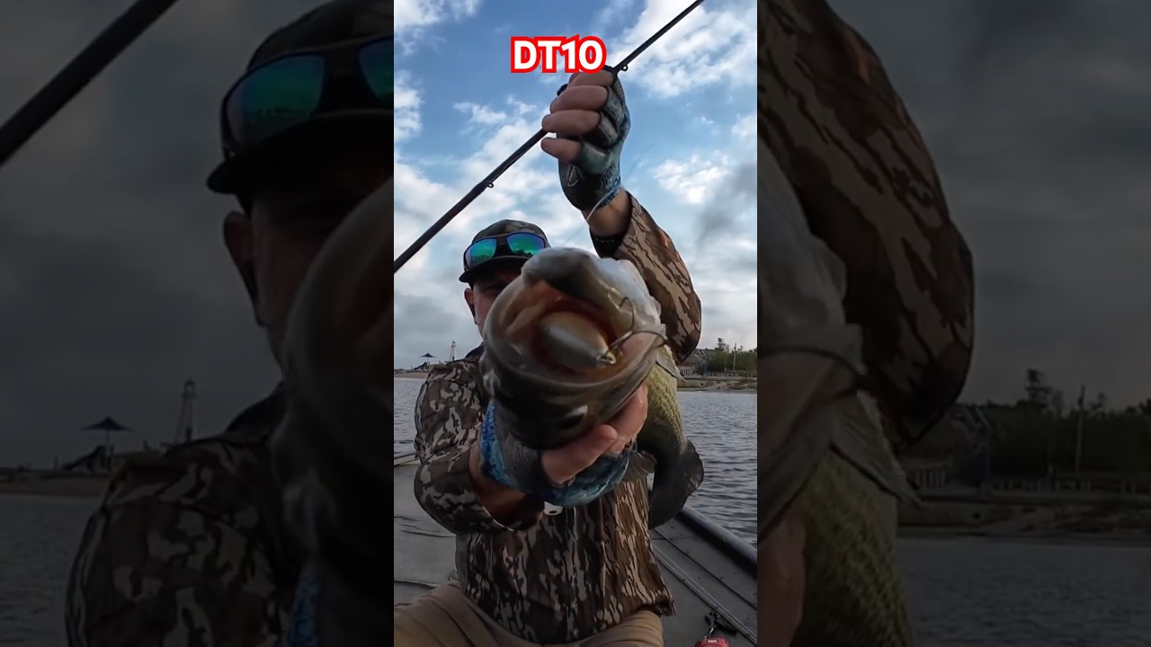 This chunk choked the DT10 #bassfishing #bassfeatured #fishing #subscribe #fish #bassangler #cranked