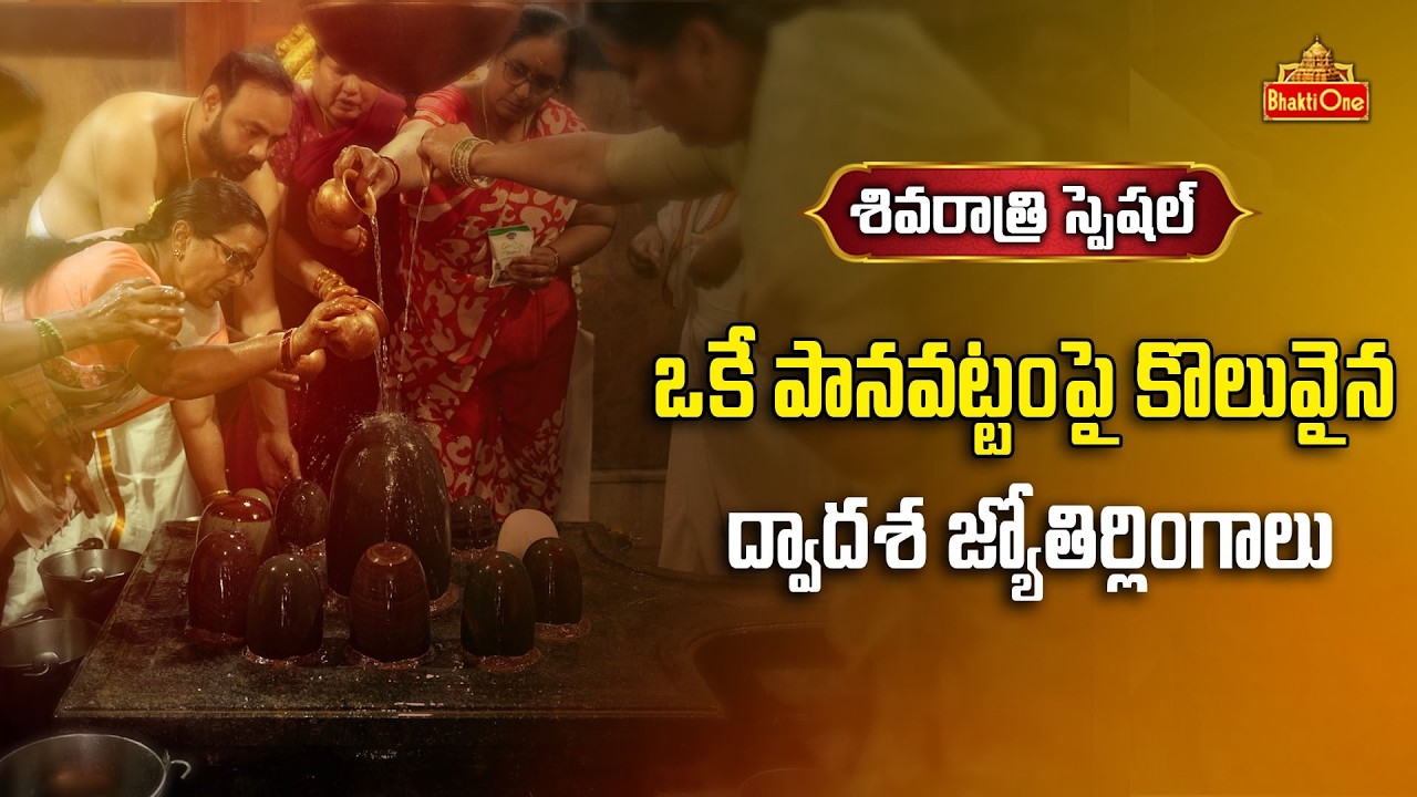 శ్రీ ద్వాదశ జ్యోతిర్లింగ దర్శనం | Shri Dwadasha Jyotirlinga Bhuvaneshwari Temple | Shivaratri 2026