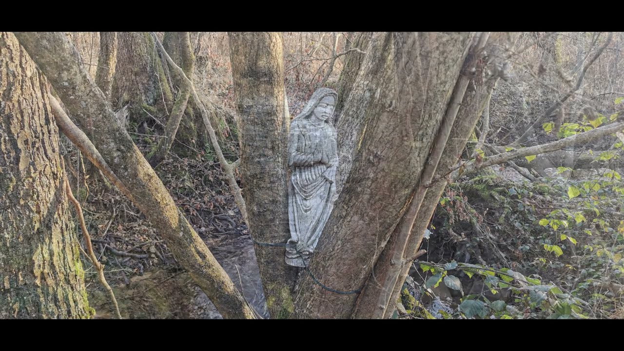 Entlang der Kahl bei Kleinkahl
