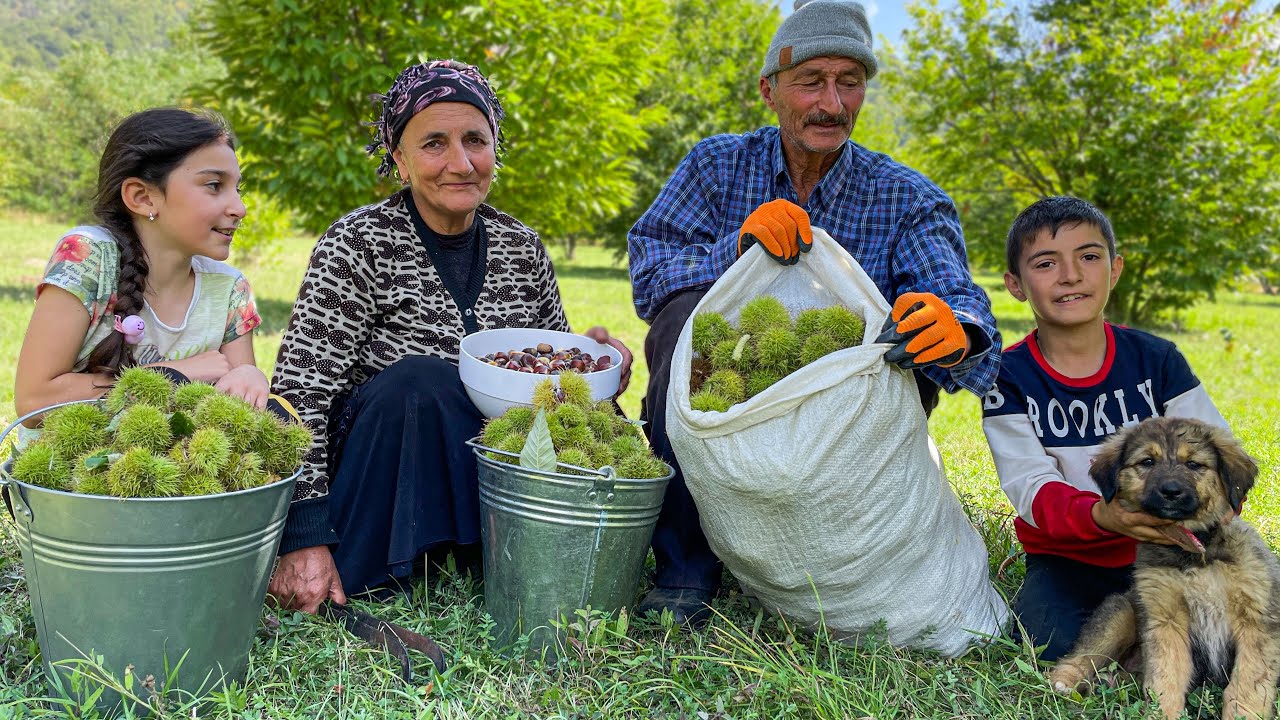 Жареные каштаны с куриными крылышками! Жизнь в Азербайджанской деревне