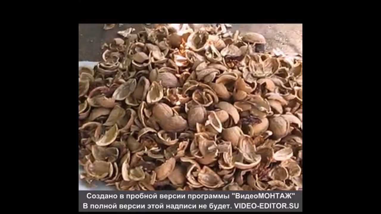 Орехокол. Линия полного цикла