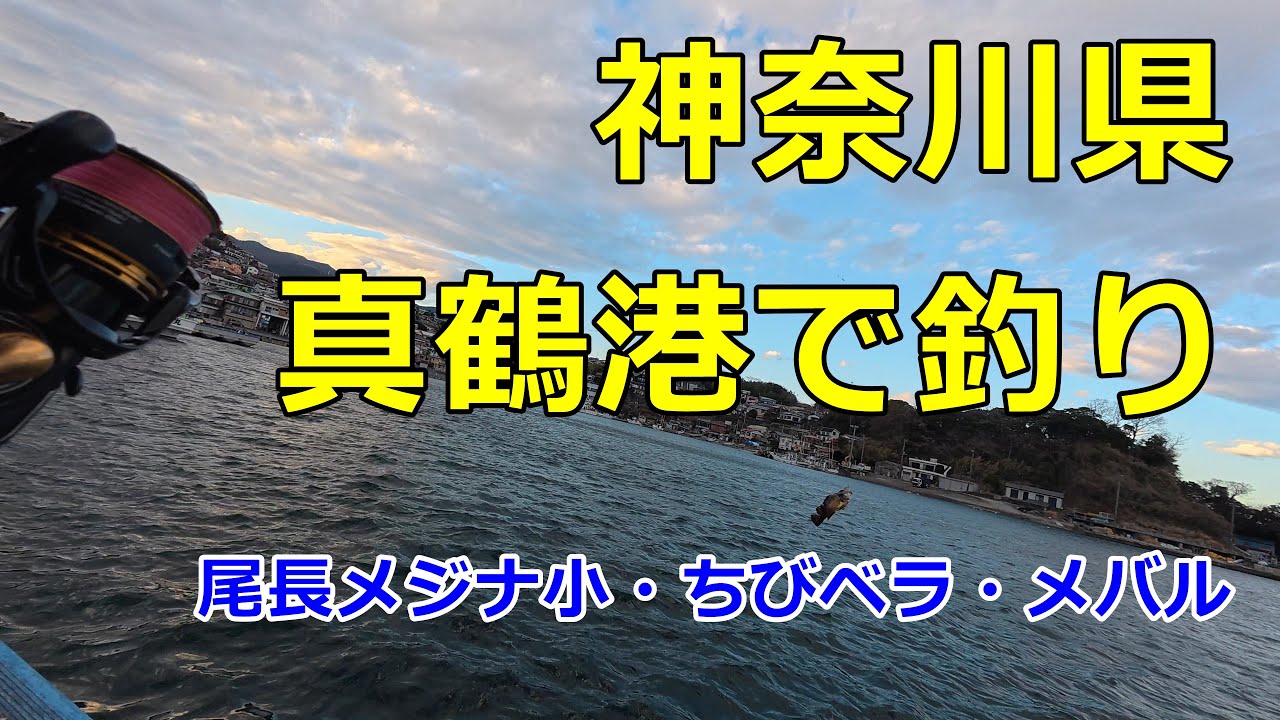 2025.2.28 神奈川県真鶴港で釣り