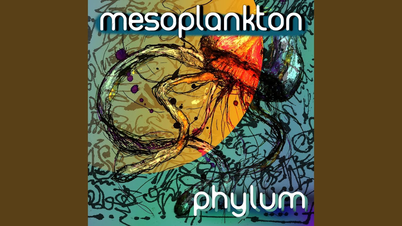 phylum