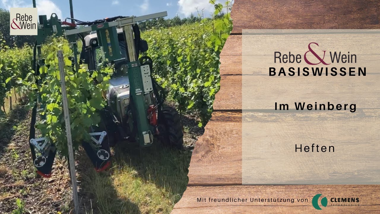 Rebe & Wein Basiswissen - Im Weinberg: Heften