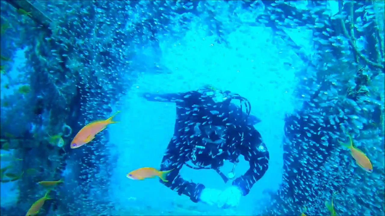 DiveLife - Satil wreck - Eilat diving