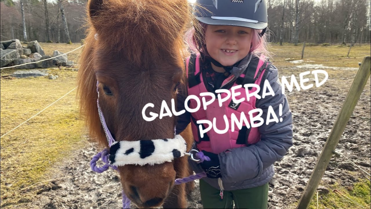 Skogspromenad med galopp!