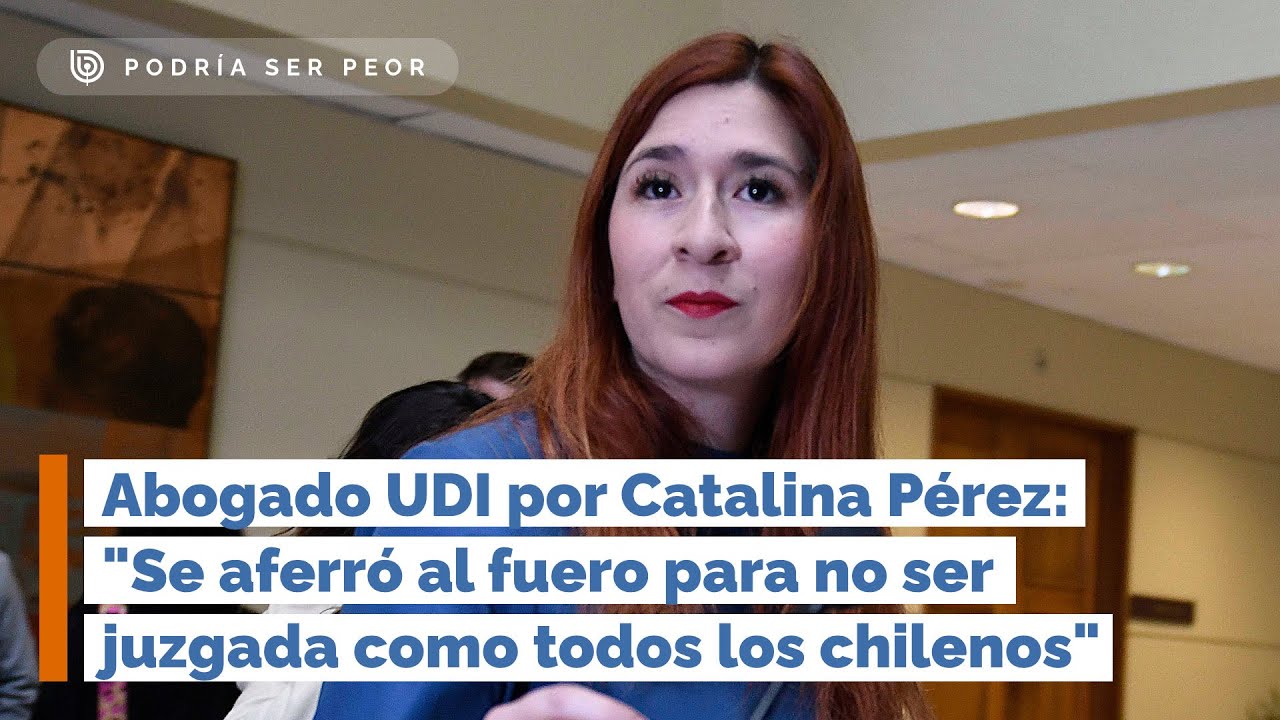 Abogado UDI por Catalina Pérez: 