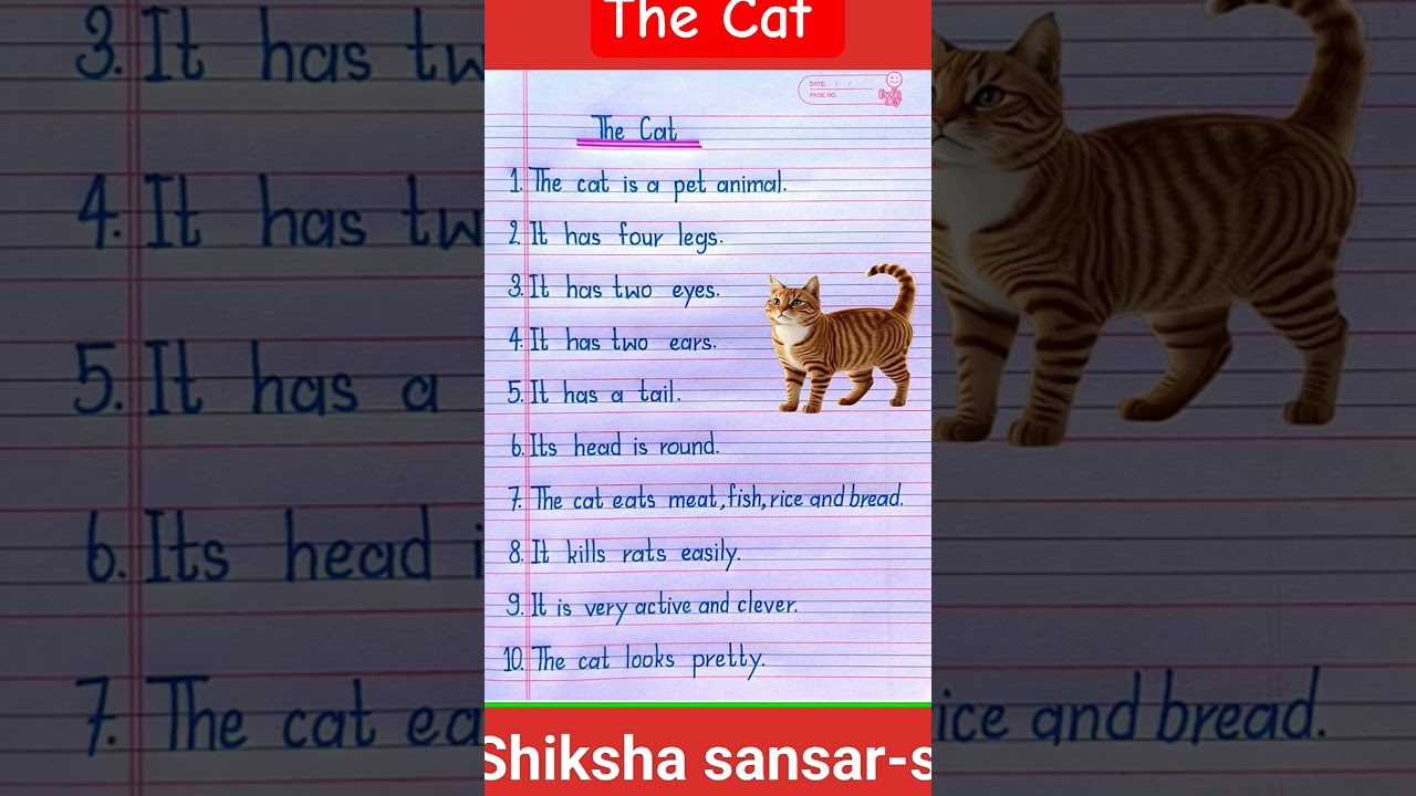 10 Lines on Cat in English | Essay on Cat in English | Cat Essay in English | 10 Lines on Cat