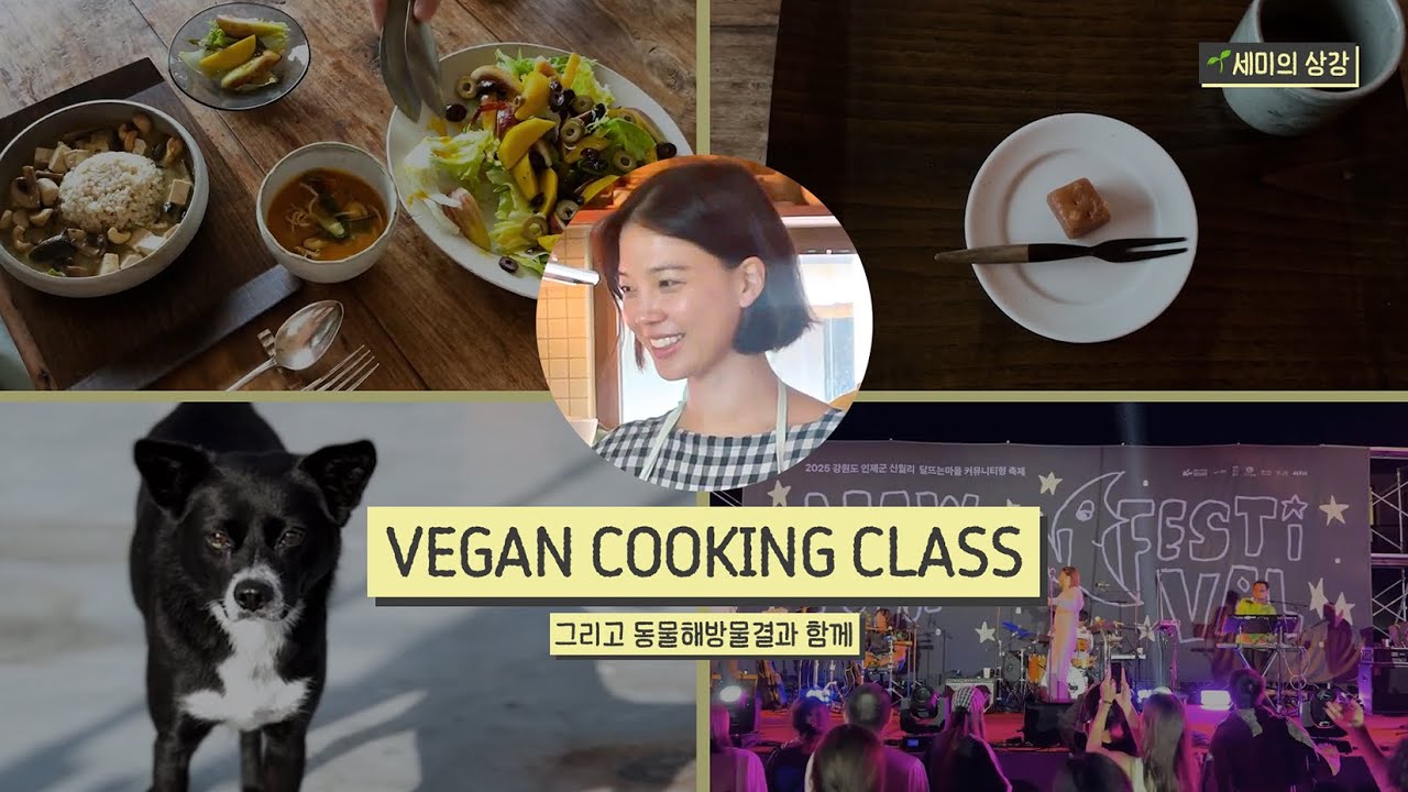 🌱비건 그린커리와 똠얌꿍 그리고 동물해방물결과 함께🌱 | 상강 편