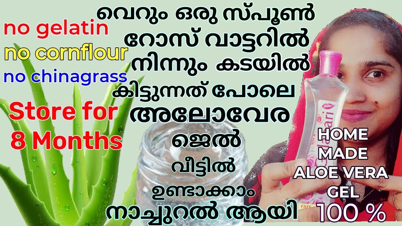 വീട്ടിൽ തന്നെ നാച്ചുറലായി അലോവേര ജെൽ ഉണ്ടാക്കാം/How to make alove vera gel at home easily/Aloe Vera
