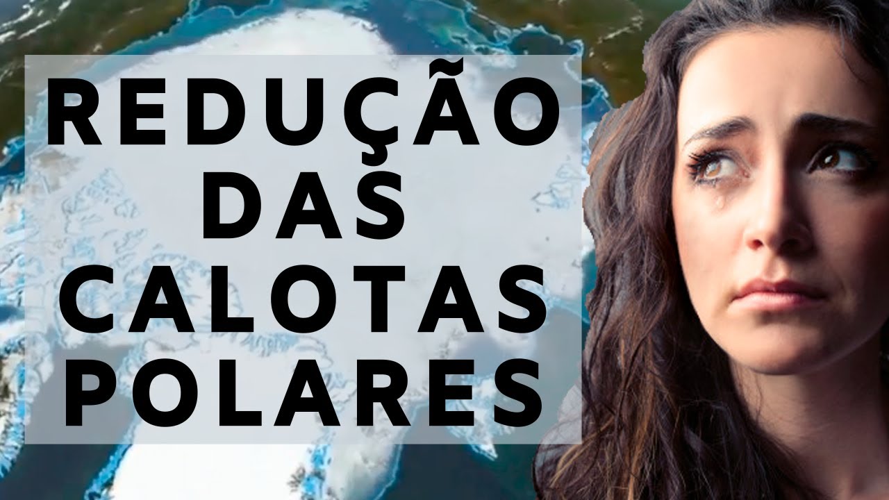 Redu&ccedil;&atilde;o das Calotas Polares - Anima&ccedil;&atilde;o