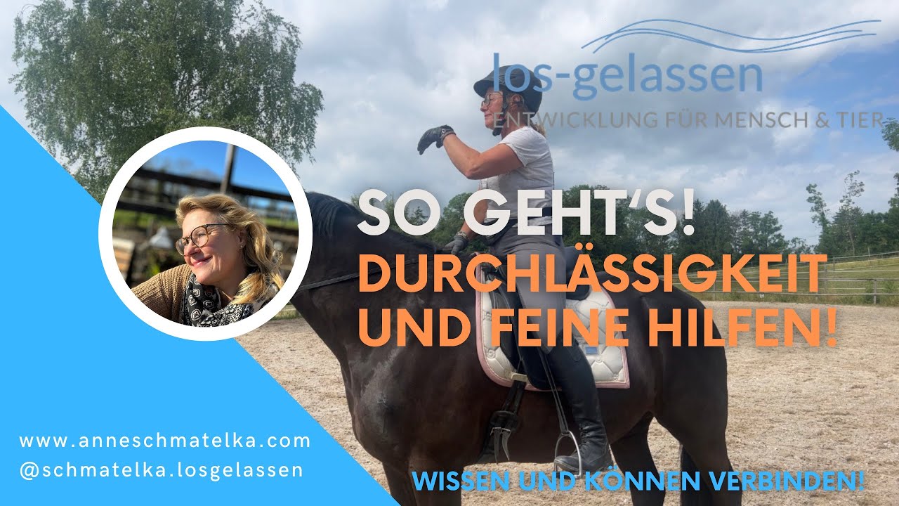 Durchl&auml;ssigkeit und feine Hilfen | &hellip; und wie man das beim Reiten erreicht!
