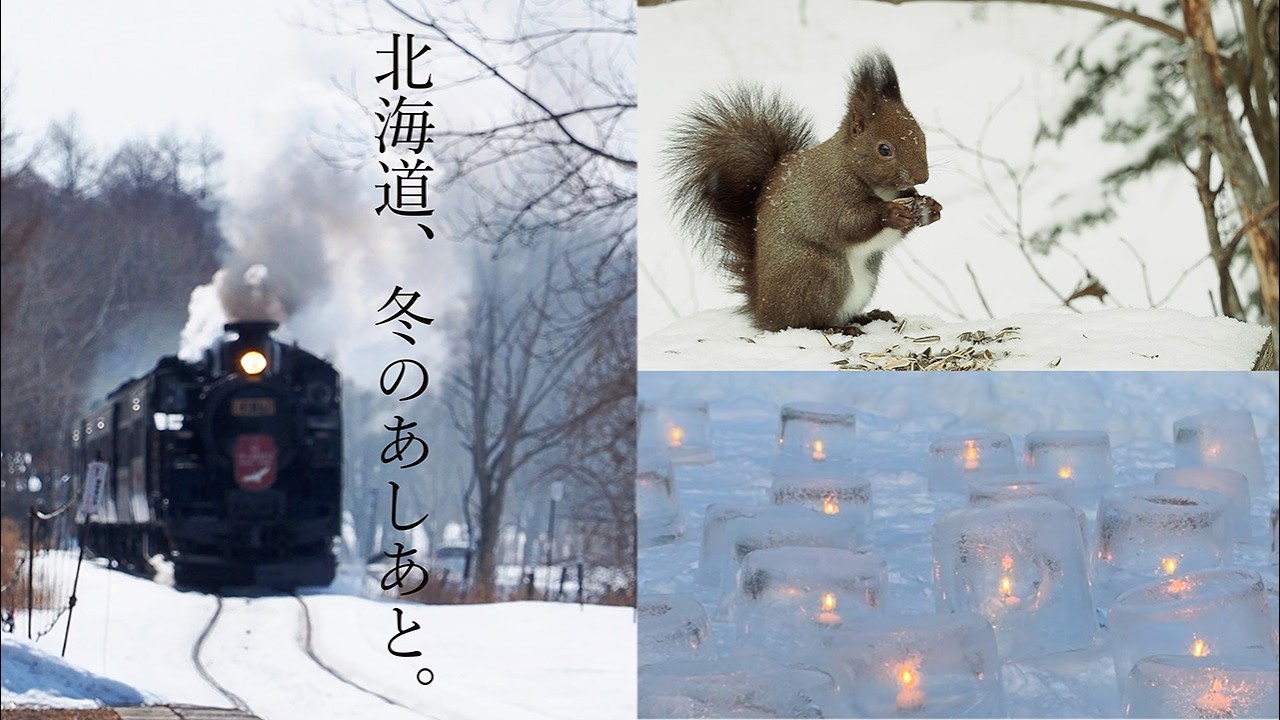 雪とエゾリス/アイスキャンドル祭り/SL冬の湿原号 初めての撮り鉄『vlog北海道・道東の暮らし』　Life in Hokkaido, Japan