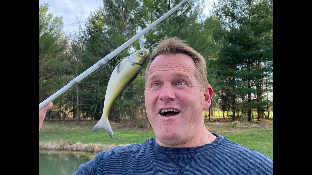 hard n soft swimbait