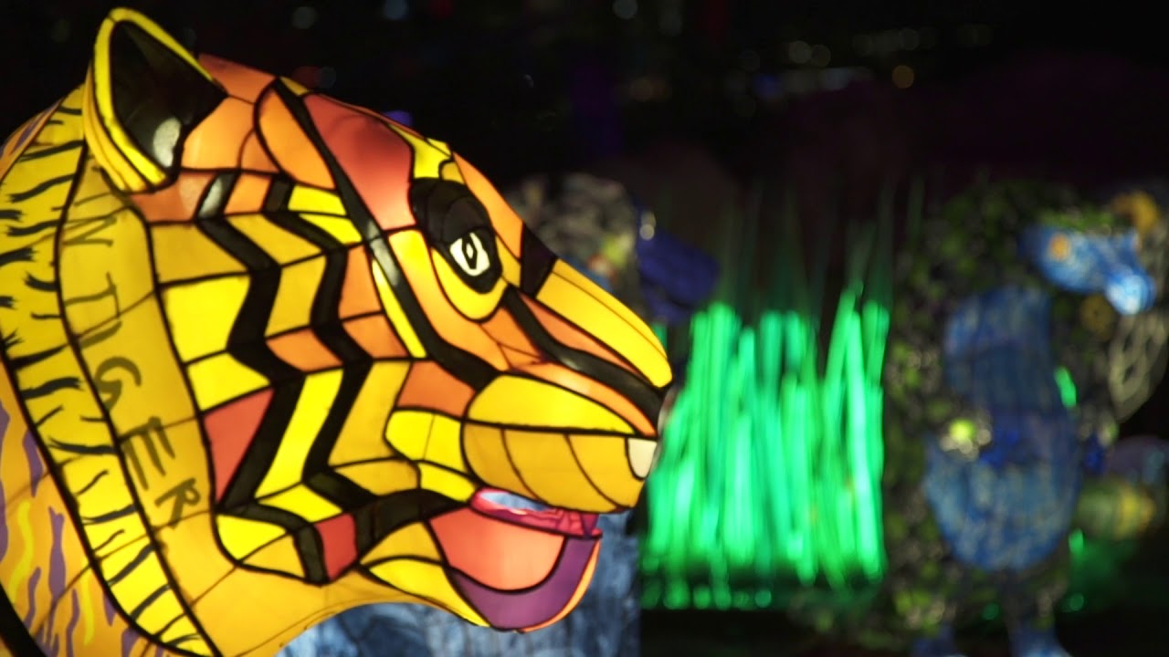 Amex at Taronga Zoo - Vivid Sydney