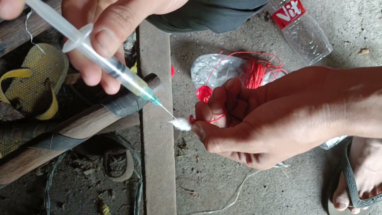ALAT PERANGKAP HAMAA LALAT BUAH.