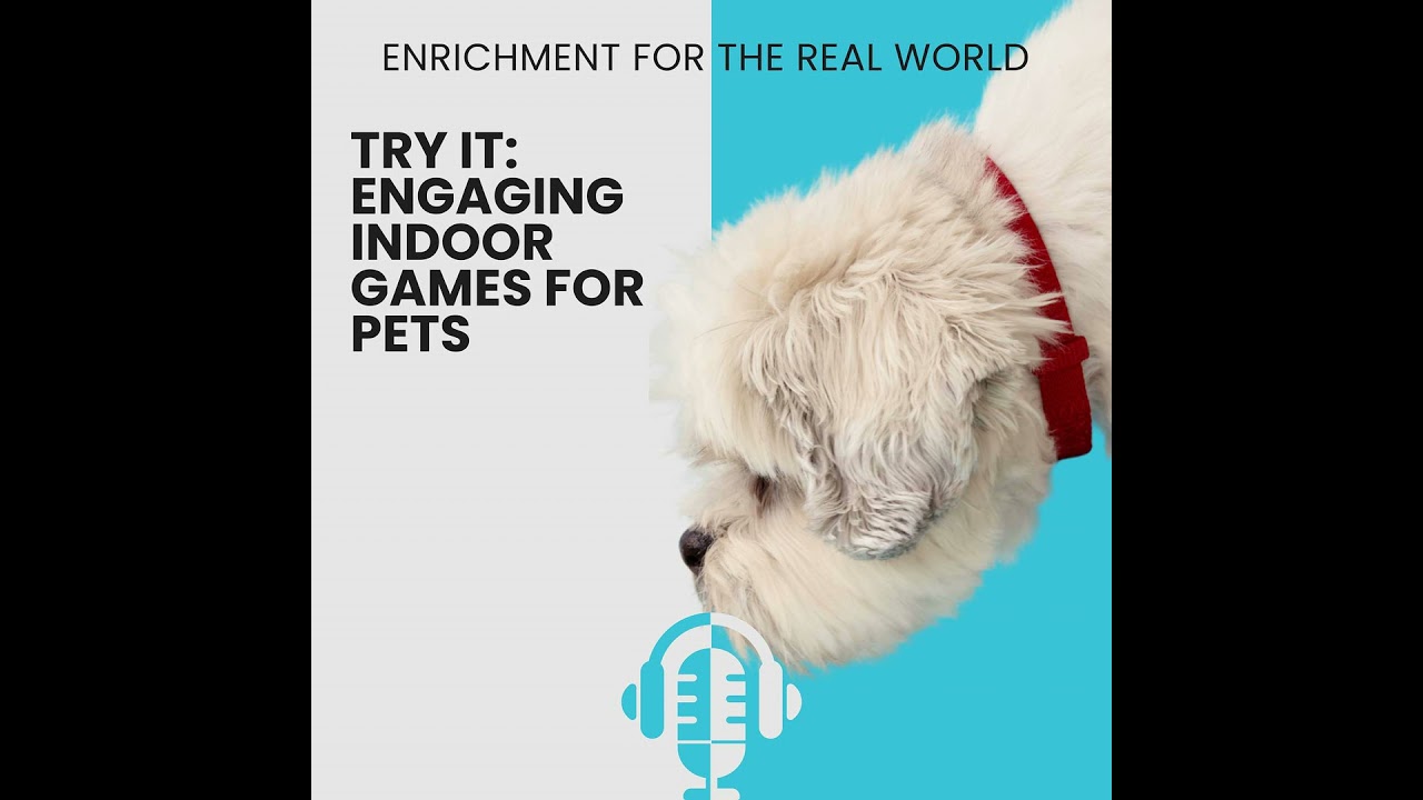 #155 - Try It: Engaging Indoor Games for Pets