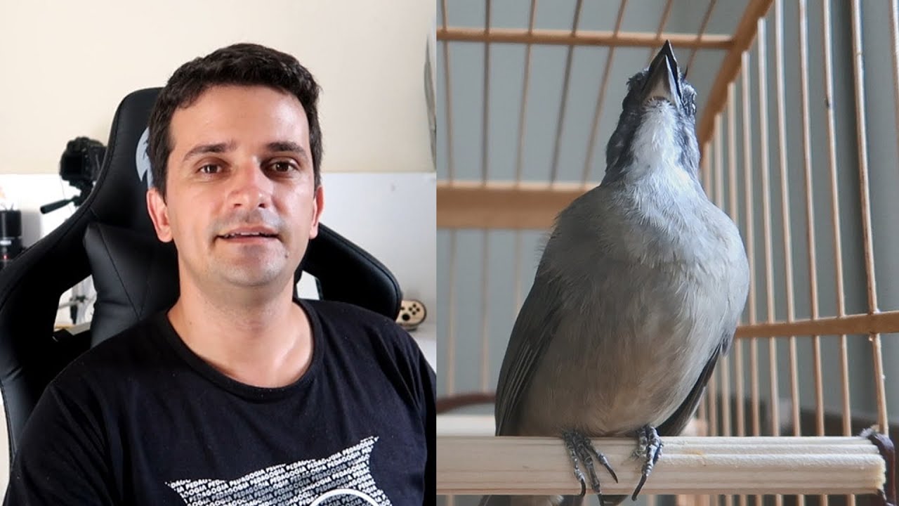 Vou Mostrar o MELHOR ESQUENTA TRINCA FERRO | testado com vários trincas!! FULL HD 60 FPS