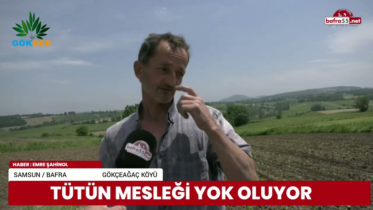 TÜTÜN ÜRETİCİLERİ DERTLİ