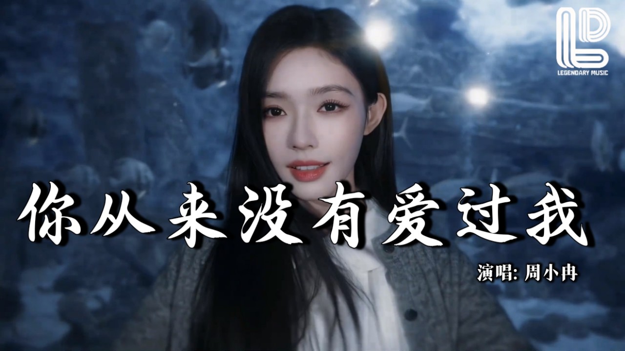 周小冉 - 你从来没有爱过我 (合唱团版) (抖音热播DJ版) Ni Cong Lai Mei You Ai Guo Wo『只剩街边的路灯 在配着我飘啊飘，住在回忆中的人 想忘也忘不掉』动态歌词MV