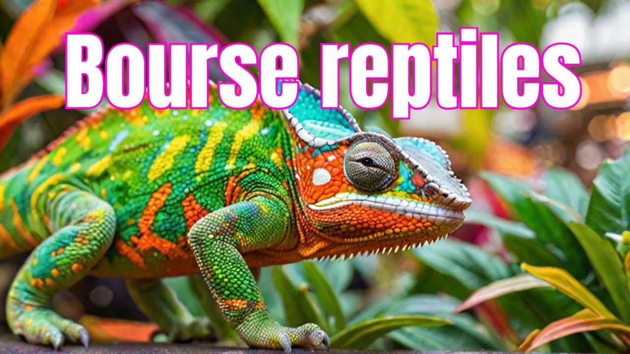Le fascinant marché des reptiles en France