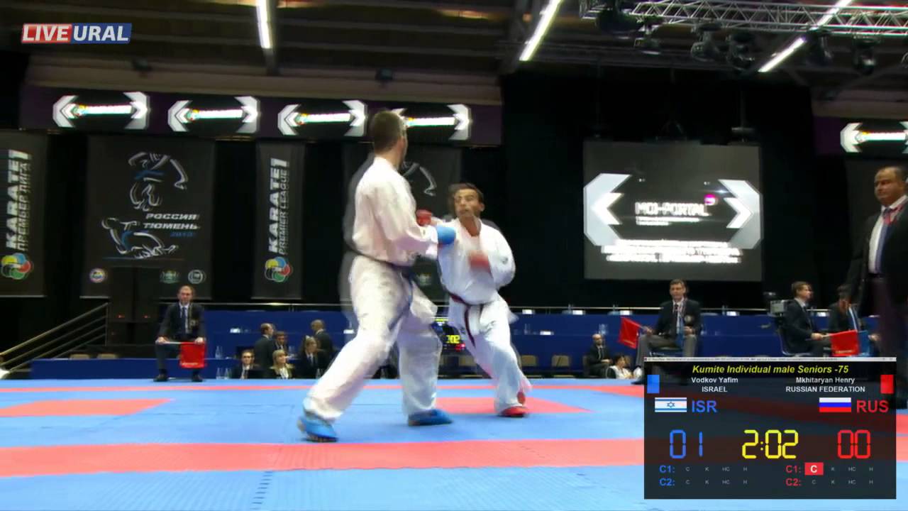 Kumite Individual male Seniors -75 Karate1 Premier League, Tyumen 2013