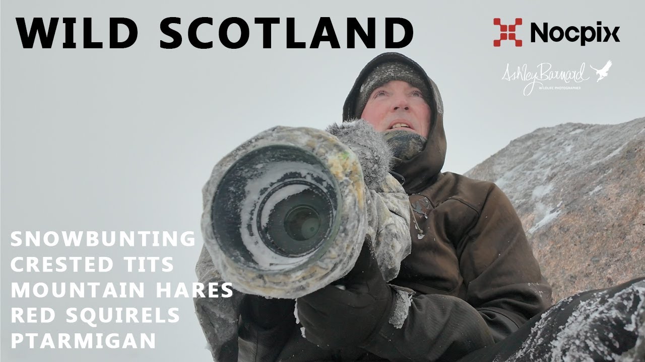Into the White: Five Days Hunting Ghosts in the Highlands